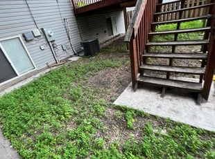 Weeding by Connor Doyle for Sumaya A. in Minneapolis, MN