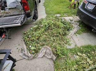 Bush Trimming by Kevin Philips for Nichole J. in Cincinnati, OH