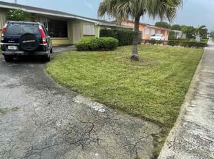 Cleanups by Lizett Chava for Daisy P. in Miami, FL