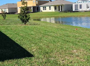 Krystal A.'s Lawn Service service result
