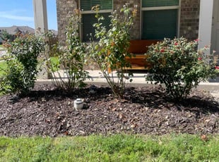 Weeding by Melvin Sanchez for Matthew M. in Princeton, TX