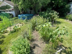 Weeding by Gadiel Sandrez for David O. in Minneapolis, MN