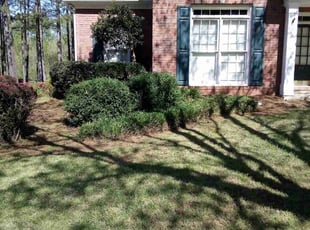 Bush Trimming by Elvin Dobbs for Tammy W. in Acworth, GA