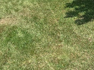 Aeration by Jecory Garrett for Lois W. in Madison, AL