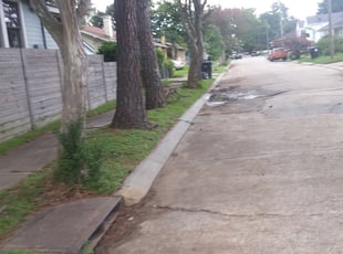 Cleanups by Jaymie Lewis for Megan M. in New Orleans, LA