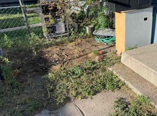 Cleanups by Adameus Marcum for Jen H. in Denver, CO