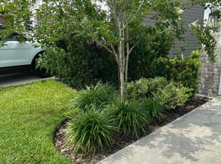 Weeding by Yon Helton for Bethany D. in Ponte Vedra Beach, FL