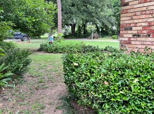 Bush Trimming by Devin Heath for Linda F. in Azle, TX