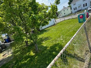 Lauranne B.'s Lawn Mowing Service service result