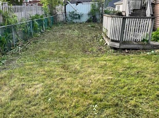 Cleanups by Guadalupe Huerta for Waqar M. in Frankfort, IL