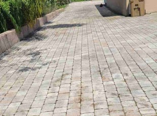 Cleanups by Rolando Mojica Betancourt for Clarissa D. in Kissimmee, FL