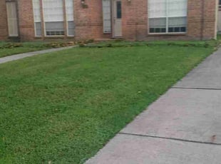 Djon C.'s Lawn Mowing service result