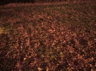 Cleanups by Kevin Johnson for Eric T. in Wheat Ridge, CO