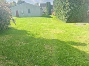 Meloney L.'s Lawn Service service result