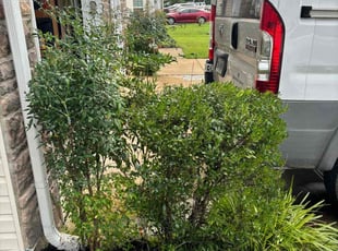 Bush Trimming by Tom Farley for Deonta H. in Fredericksburg, VA