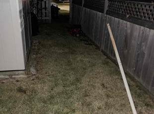 Leaf Removal by Cornelius Eubanks for Paige D. in Wheeling, IL