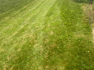Cornel B.'s Lawn Mowing Service service result