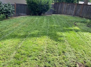 Margaret W.'s Lawn Mowing service result