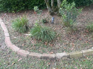 Weeding by Alphonso Sharp for Andrew P. in Lutz, FL