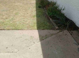 Leaf Removal by Kristian Roach for JC S. in Lubbock, TX