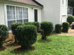 Bush Trimming by Sirius Ifadamu for Camilla T. in Decatur, GA