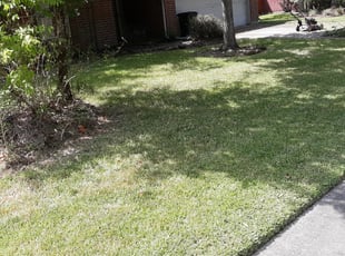 Bush Trimming by Arnold Martin for Julie B. in Humble, TX