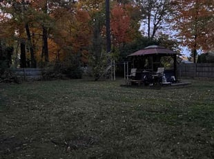 Leaf Removal by Evan Williams for Virginia B. in Dayton, OH