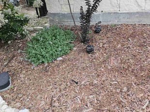 Landscaping by Sandro Cardoso for Willie J. in Euless, TX