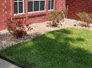Weeding by Hector Cruz for Crystal R. in Houston, TX