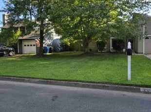 Bush Trimming by Chelsea Morris for Christopher V. in Virginia Beach, VA