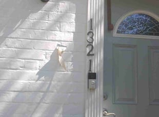 Cleanups by Tyrone Wilkins for Meghan H. in Takoma Park, MD