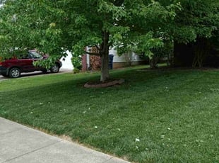 Bush Trimming by Charles Pettit for Jordan R. in Louisville, KY