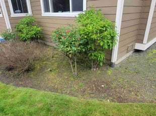 Cleanups by Dustin Torrens for Ruchi C. in Redmond, WA