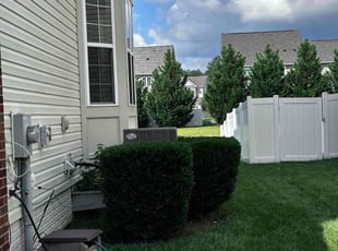 MiShawn B.'s Bush Trimming service result