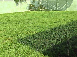 Tonda P.'s Lawn Maintenance service result