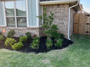 Landscaping by Adrien Peterson for Jenobia P. in Yukon, OK