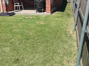 Carrie B.'s Lawn Mowing Service service result