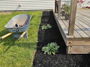 Mulching by Chad Mann for Monika W. in Indianapolis, IN