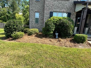 Bush Trimming by Adrian Green for Troy D. in Evans, GA