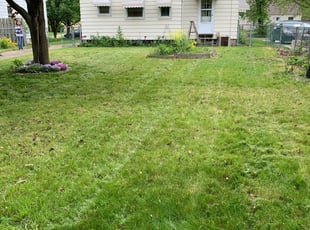 Cleanups by Jeffrey Bush for Misty F. in Cleveland, OH