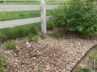 Landscaping by Connor Andrew for Victoria M. in Littleton, CO