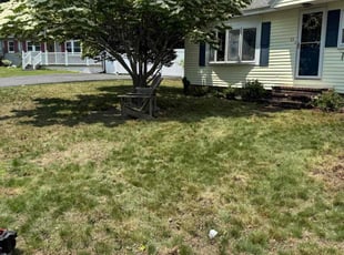Cleanups by Jared Ravagni for Chris S. in Lawrence, MA