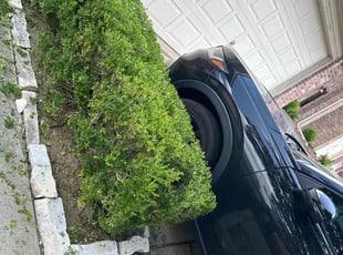 Bush Trimming by Patrick Stewart for Sean T. in McKinney, TX