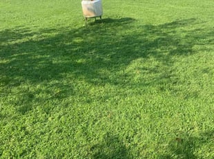 janice c.'s Lawn Care service result