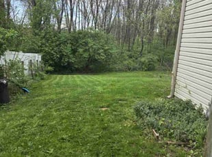 HIROAKI K.'s Lawn Maintenance service result