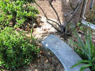 Weeding by Shawn Mcdonald for Lindsay N. in Gulf Breeze, FL