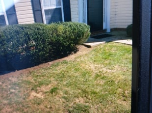 Bush Trimming by Earth Thomas for Mike F. in Richmond, VA