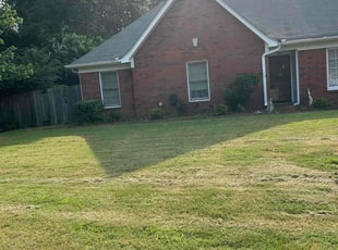 Cleanups by Trapper Ellis for Robert B. in Collierville, TN