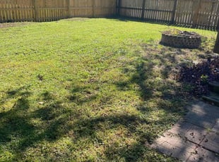 Toni S.'s Yard Cutting service result