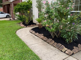 Mulching by Agapito Rivera for Liana A. in Pearland, TX